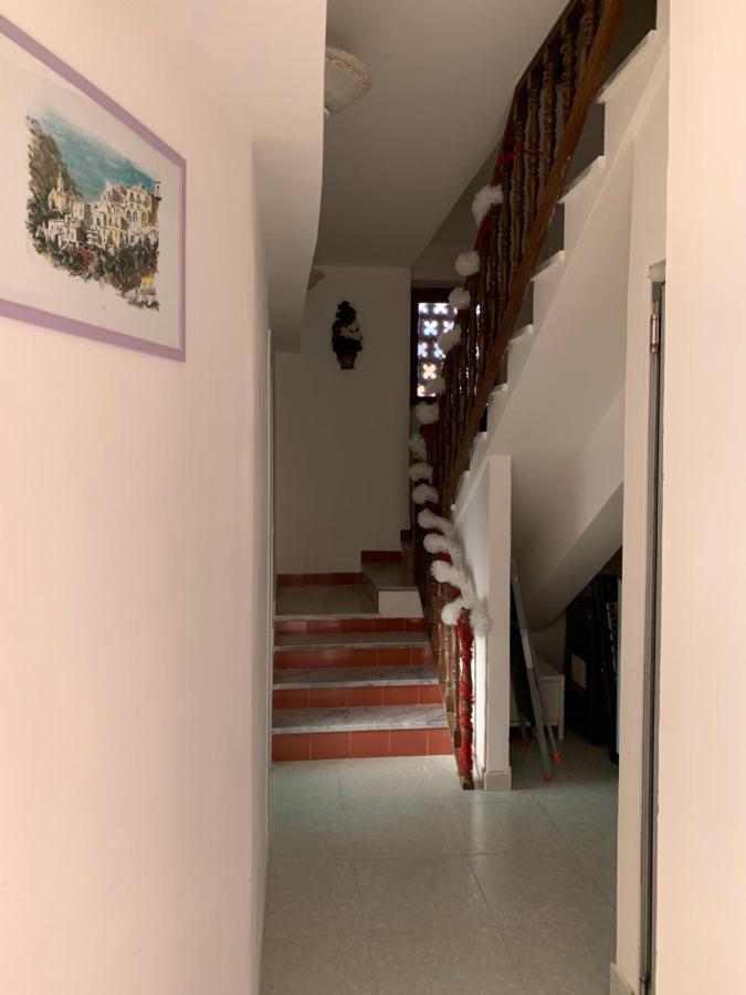Guest house Belvedere